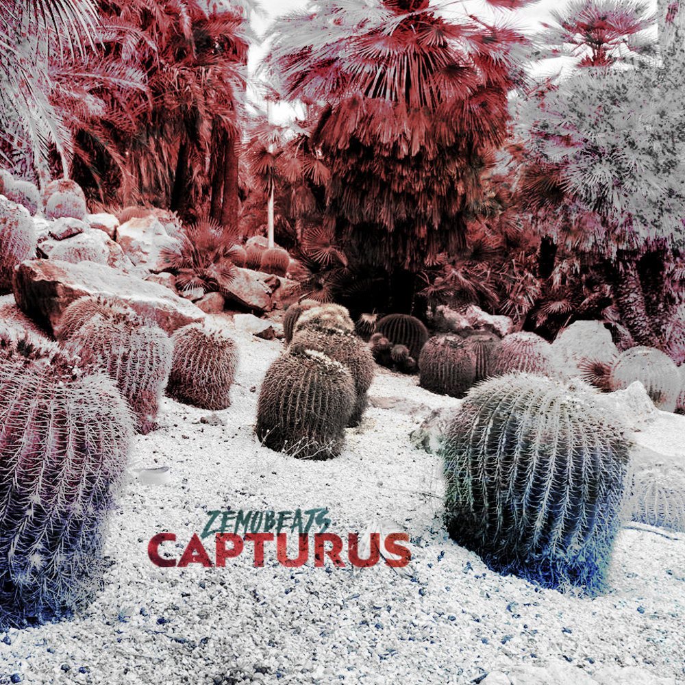 Capturus