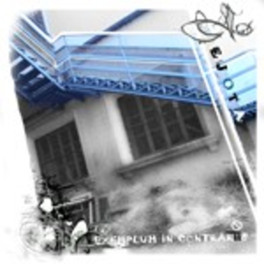 Exemplum In Contrariis