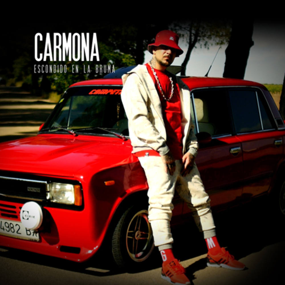 Portada de Escondido En La Bruma