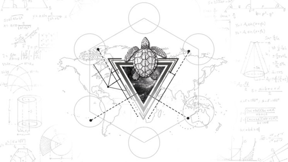 Portada de La Estrategia De La Tortuga