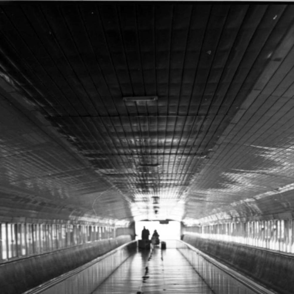 Ontotrip (Amazing Bestia Lonely Quintet Remix) 