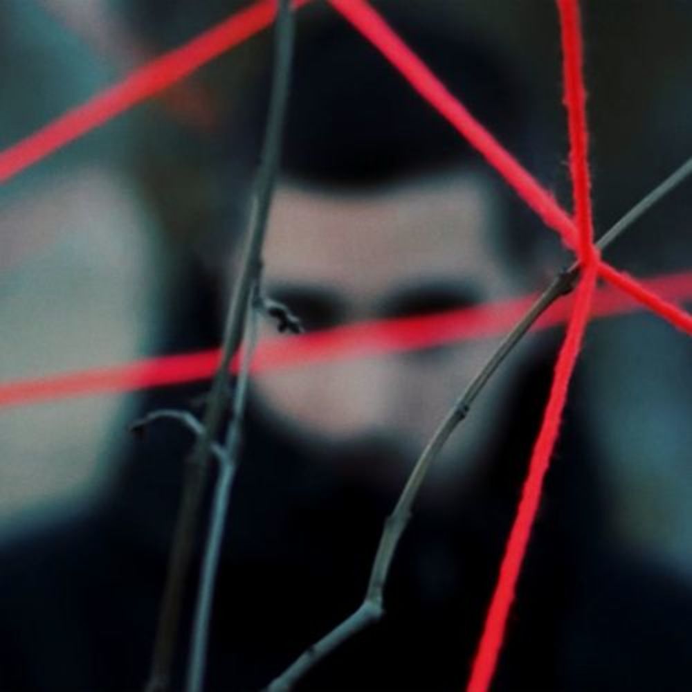 Portada de Crisálida