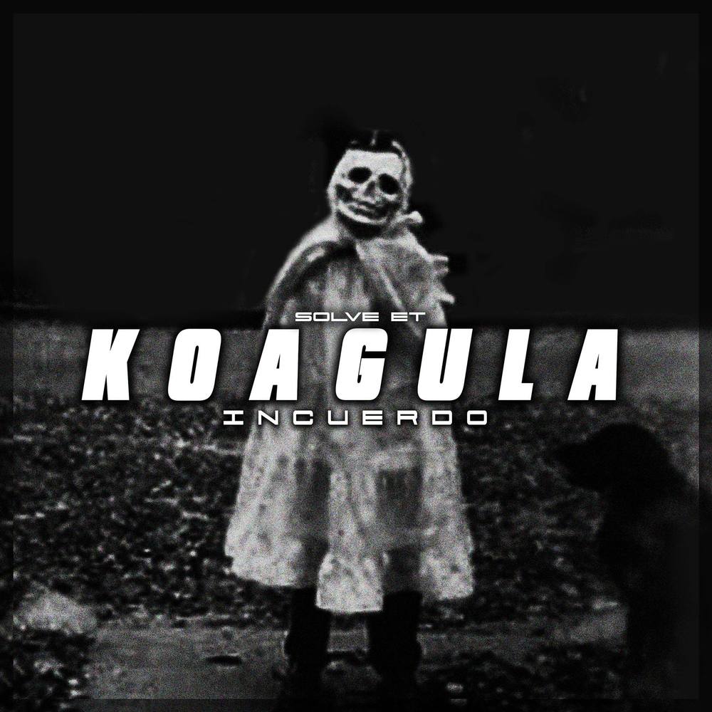 Koagula