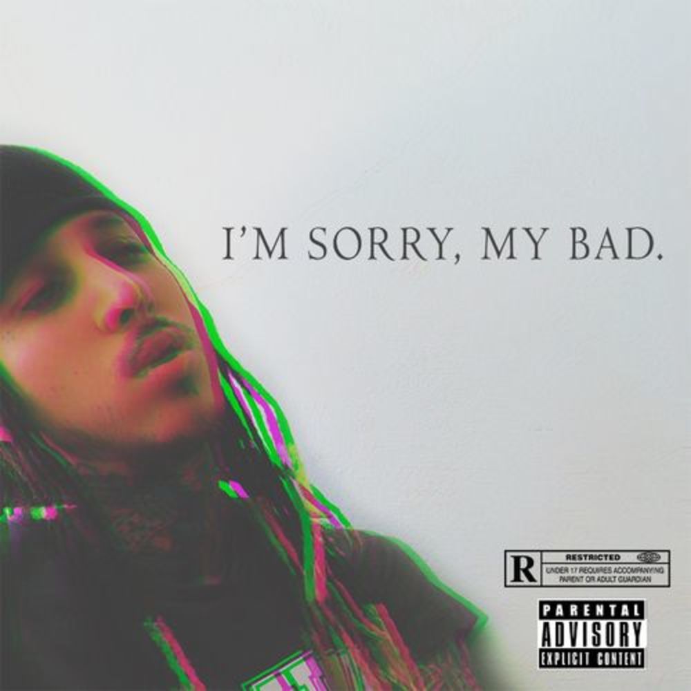 Portada de I'm Sorry, My Bad