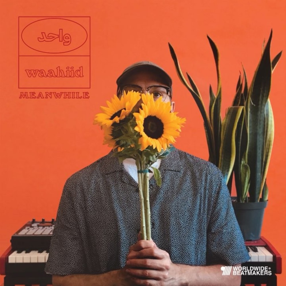 Portada de Meanwhile