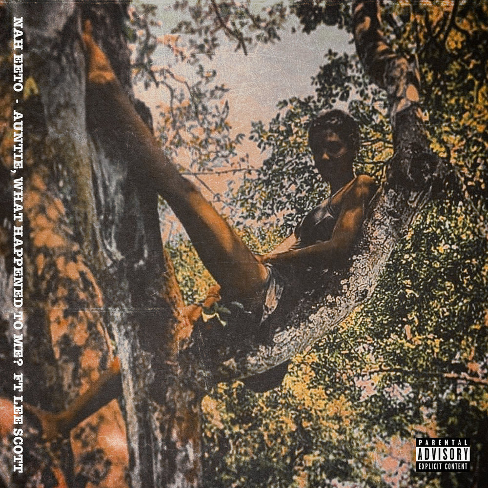 Portada de Auntie, What Happened To Me?