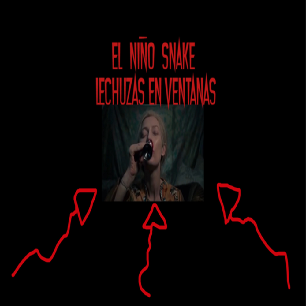 Lechuzas En Ventanas