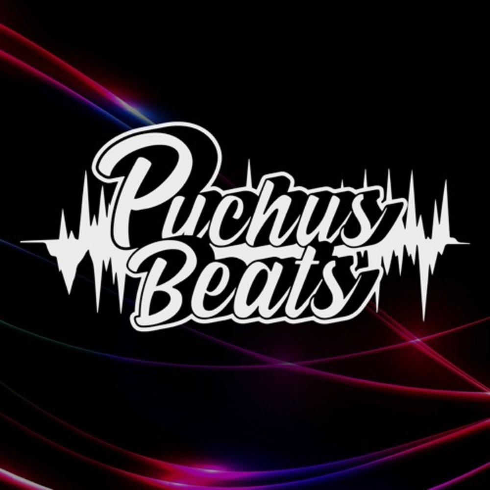 Puchus Beats