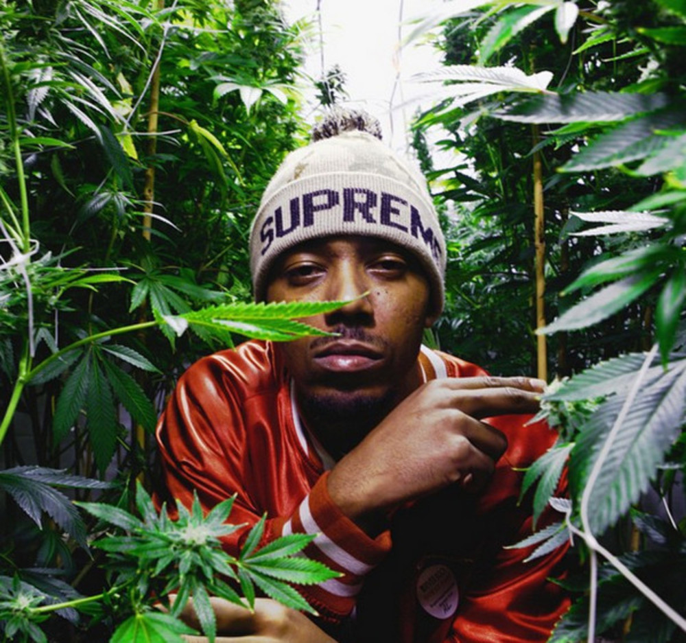 Trademark Da Skydiver