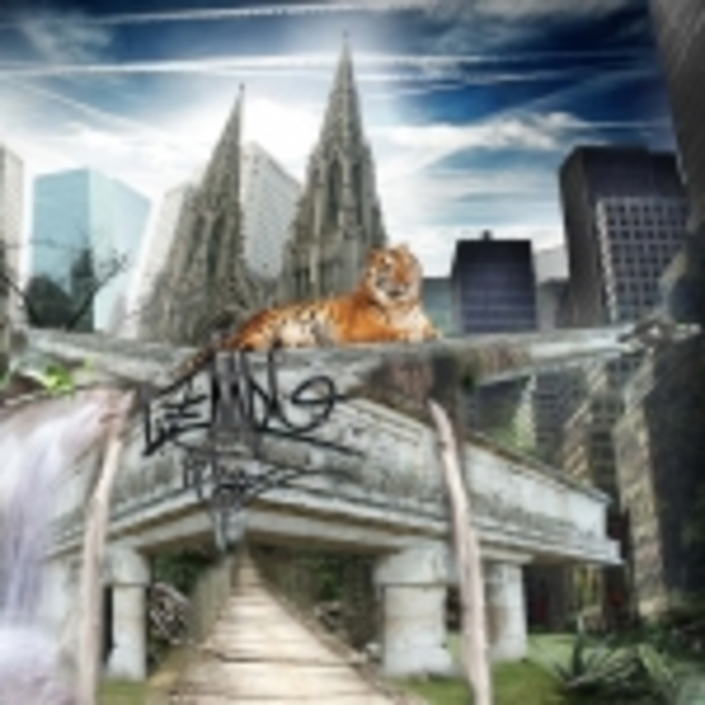 El Templo Del Tigre