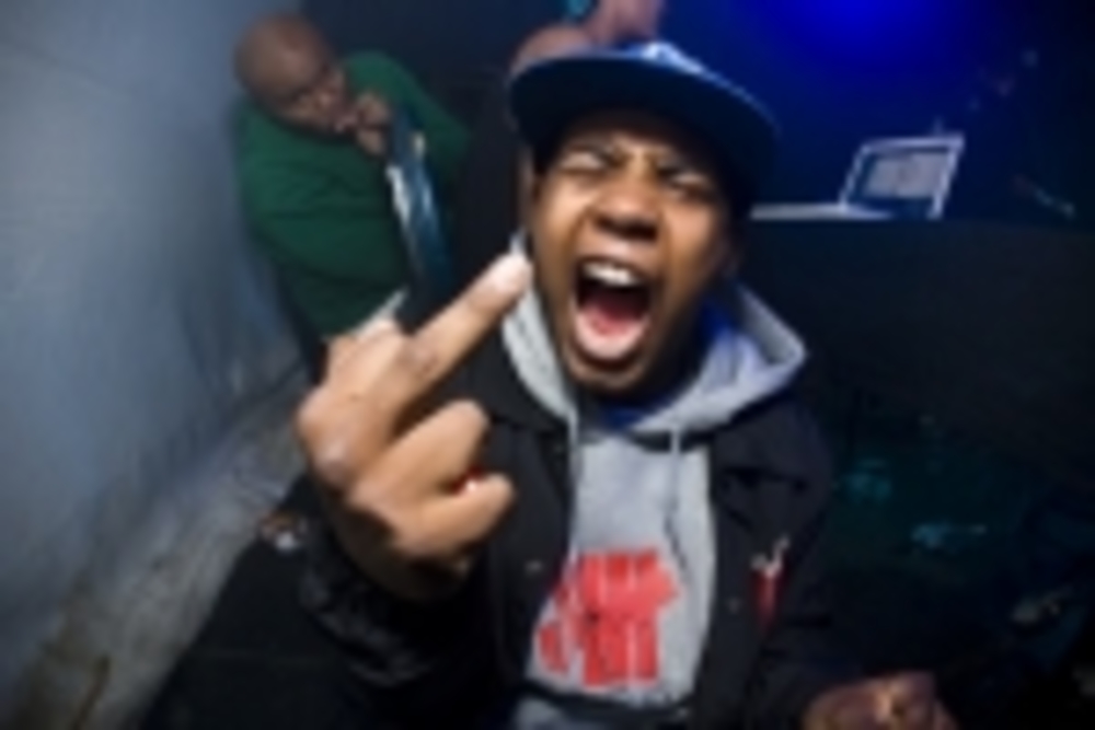 Jasper Dolphin
