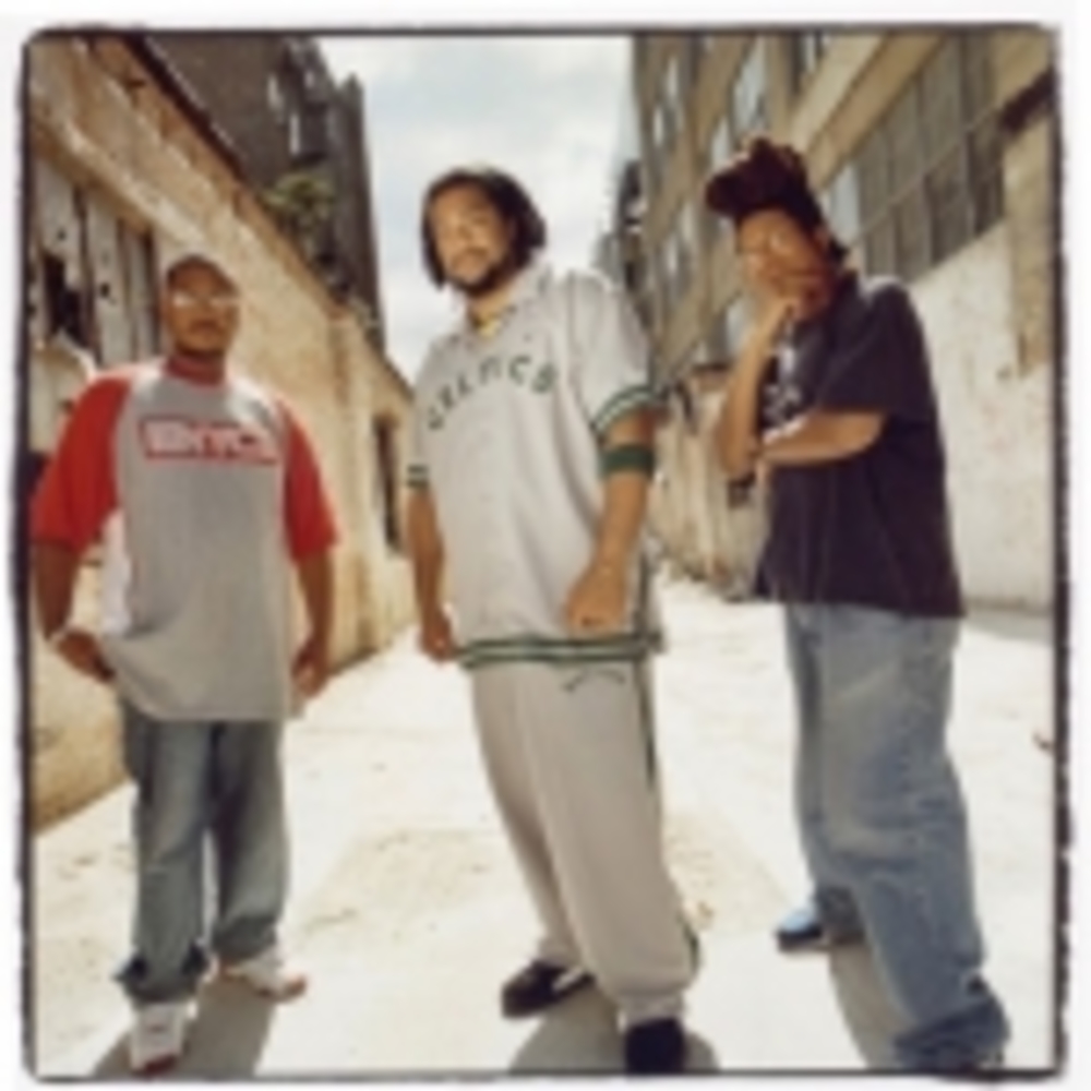 The Perceptionists