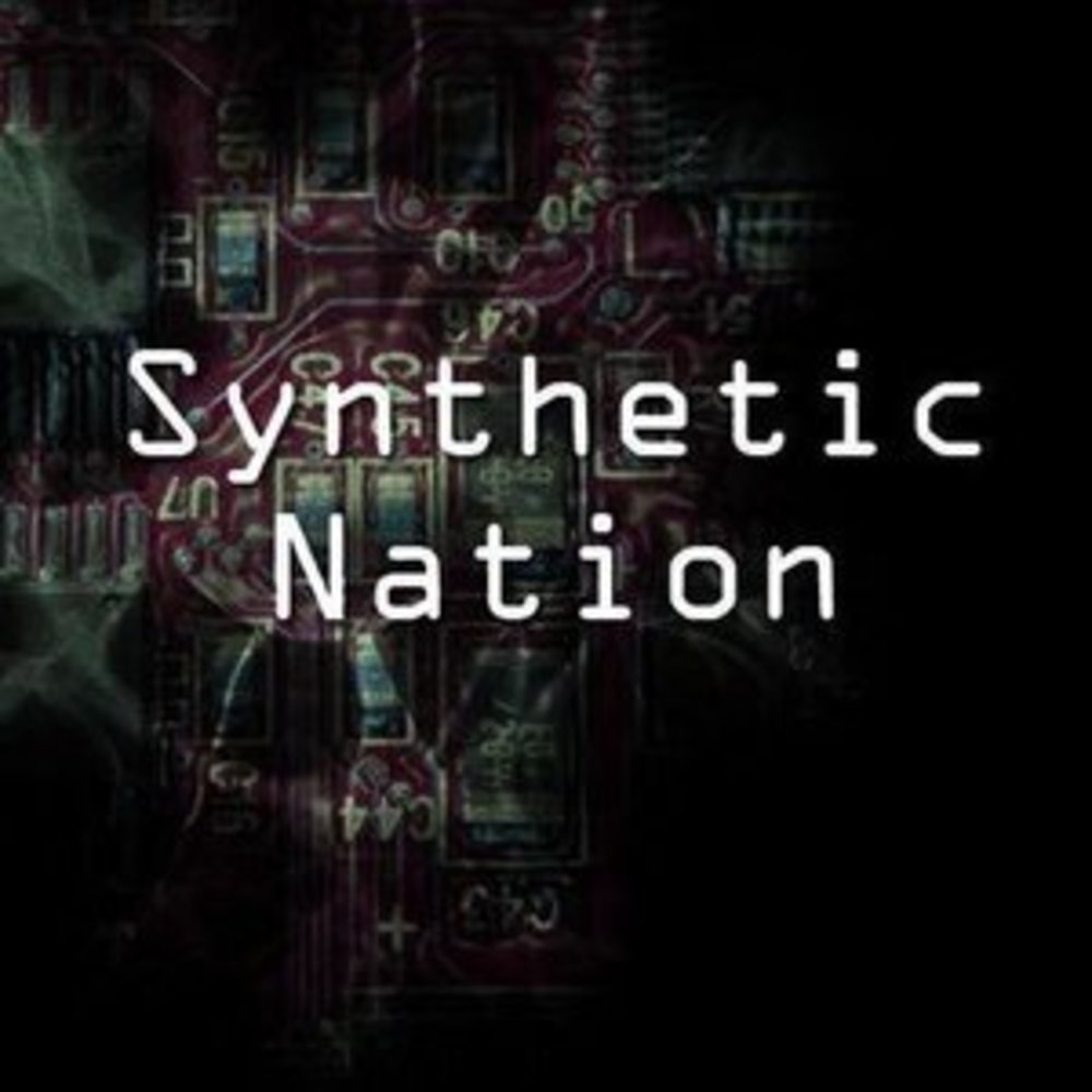 Synthetic Nation Music